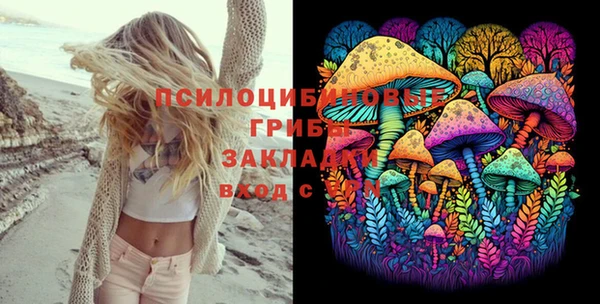 амф Аркадак