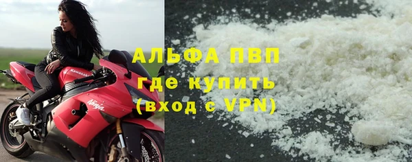 прущие грибы Арсеньев