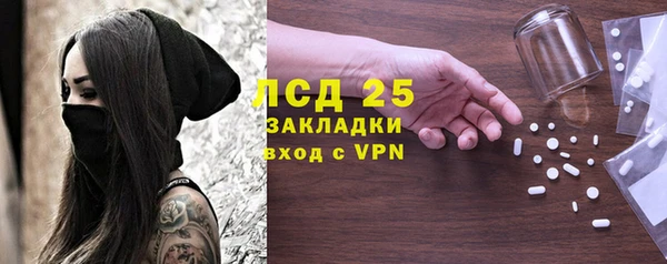 прущие грибы Арсеньев