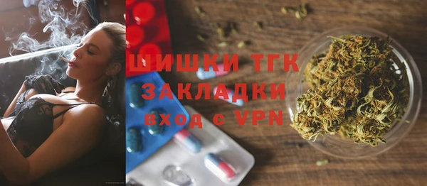 прущие грибы Арсеньев