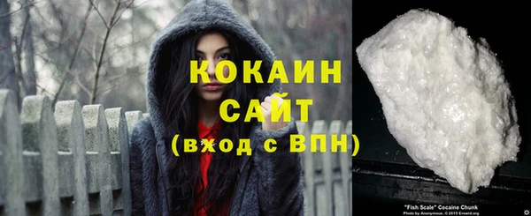 прущие грибы Арсеньев