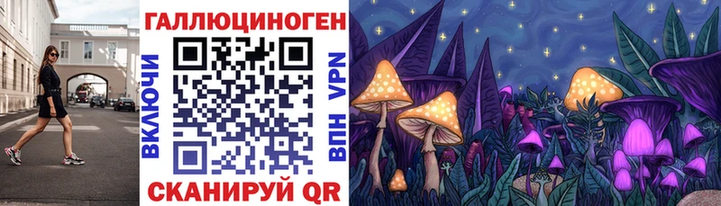 ОМГ ОМГ онион  Асино  darknet какой сайт  Псилоцибиновые грибы Psilocybe 